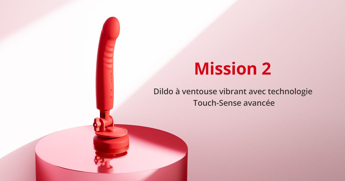 Visuel officiel Lovense du Mission 2